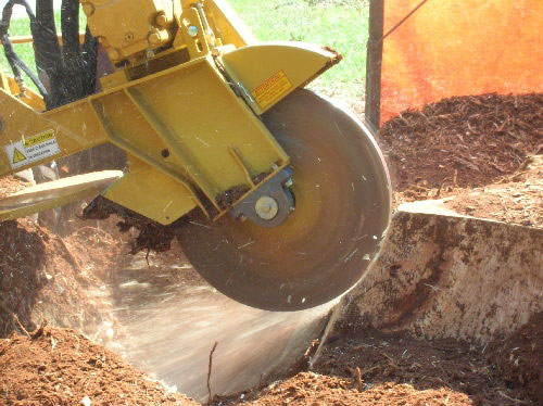 Tree Stump Removal by grinding